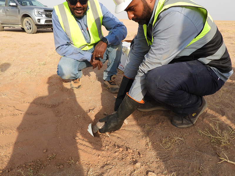 釋放蜥蜴 (2).jpg